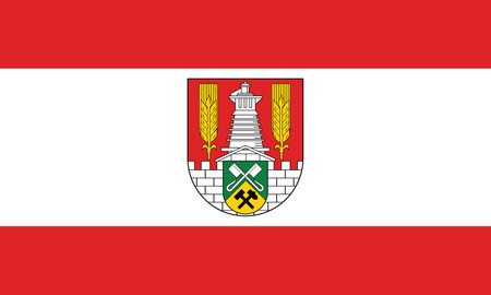 Official flag vector illustration of the German regional capital city of SALZGITTER, GERMANYのイラスト素材