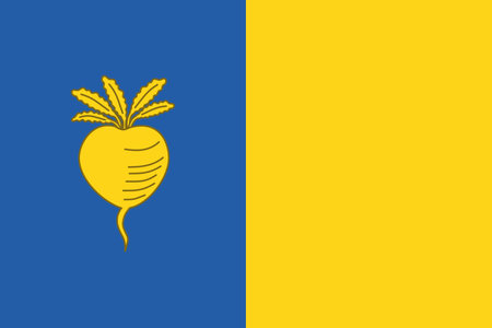Official flag vector illustration of the Belgian city of SINT-NIKLAAS, BELGIUMのイラスト素材