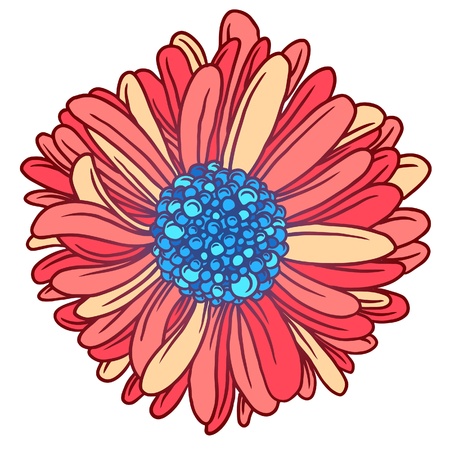 Background of colorful beautiful flowers gerber  Beautiful pink Gerber Daisy のイラスト素材