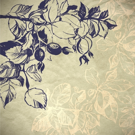 wild rose plant background illustration  the leaves are painted with ink and brush のイラスト素材