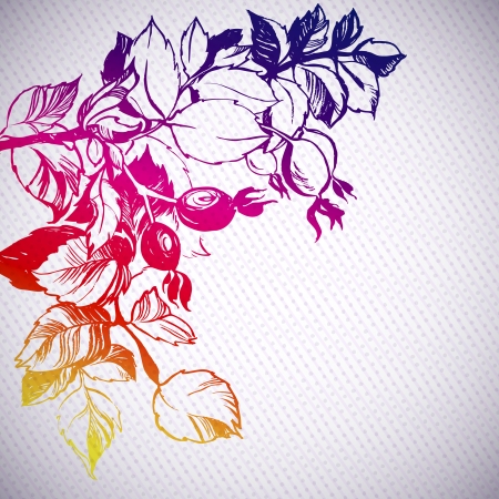 wild rose plant rainbow background illustration  the leaves are painted with ink and brush  decorative dots and stripesのイラスト素材
