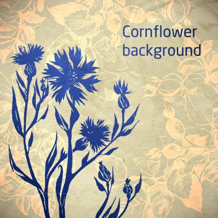 Ornamental cornflower flower card  illustration drawn with ink and brush  texture of paper and blots  place for your textのイラスト素材