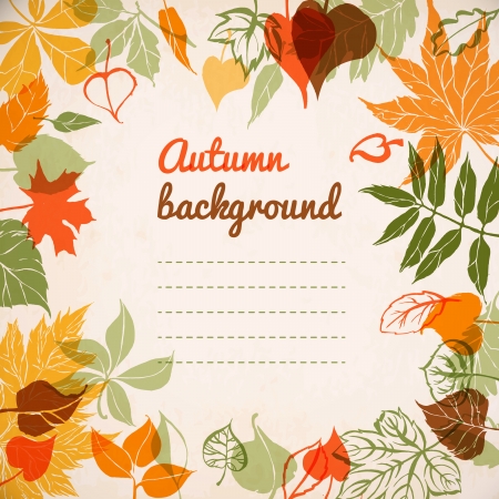 Different leaves on paper background  autumn  illustrationのイラスト素材