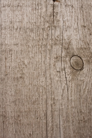 Texture of wood background closeupの写真素材