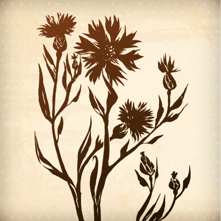 vector ornamental cornflower flower card. illustration drawn with ink and brush. texture of paper and blots. place for your textのイラスト素材