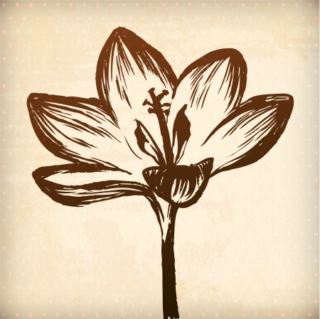 Crocus flower. floral vector hand drawn graphic for your design. All elements were placed in clipping mask and are easy to editのイラスト素材