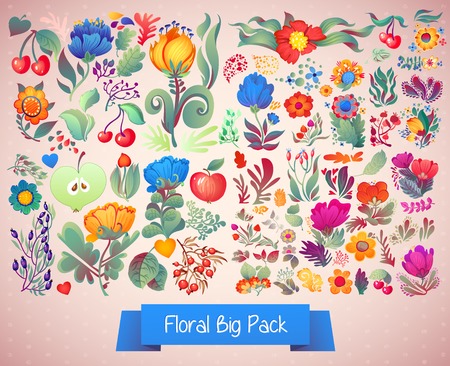 Elegance flower big packのイラスト素材