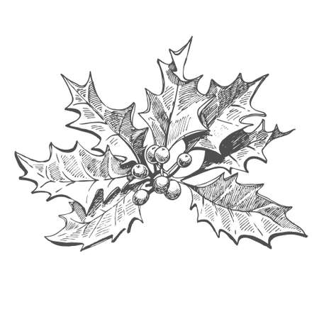 Christmas hand drawn vector elements. Sketch illustration with xmas decoration.のイラスト素材