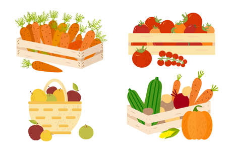 Carrot and Tomato Vegetable Cartoon Characters. Wood boxes harvest timeのイラスト素材