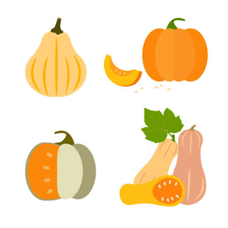 Set of flat pumpkins. harvest time. Vector illustrationのイラスト素材