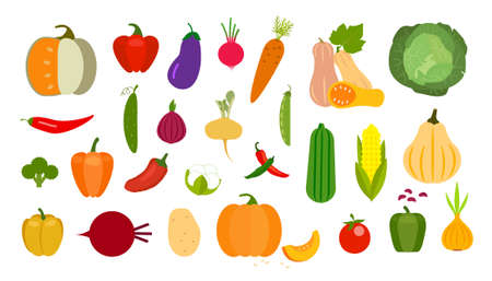 Vector vegetables icons set in cartoon style. Collection farm product for restaurant menu, market label.のイラスト素材