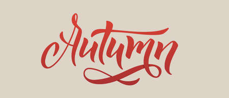 Autumn Lettering. Calligraphic Inscription Hand Drawn. Unique typography.のイラスト素材