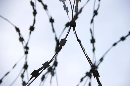 Twisted barbed wire on the skyの写真素材
