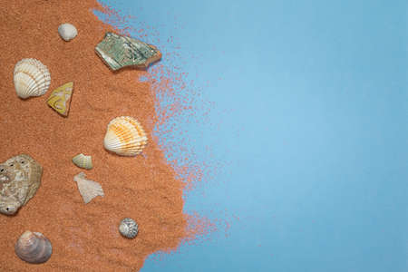 sand and shells on the side of a blue background, copy space on the right, concept of summer holiday, summer vibesの写真素材