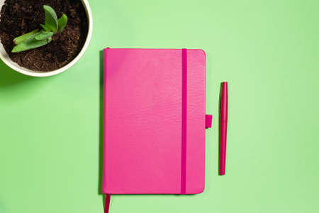 Flat lay with pink notebook and pen with aloe plant on a green pastel background, concept of work or creativityの写真素材