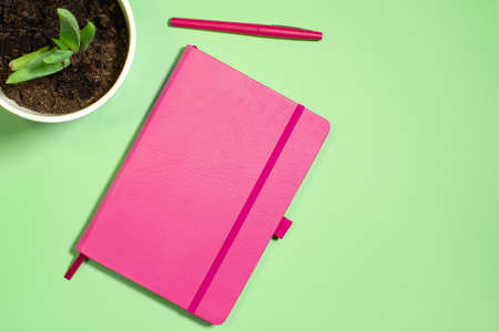 Flat lay with pink notebook and pen with aloe plant on a green pastel backgroundの写真素材
