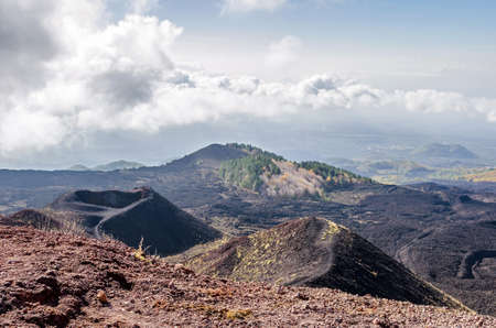 Slope of Mount Etna, an active stratovolcano on the east coast of Sicily, Italy, below summit showing lateral cones, lava flows from eruption and remainder of vegetation survived.の写真素材