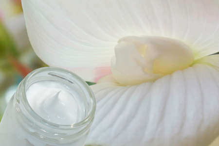 Cosmetic cream and begonia flowerの写真素材