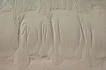Water pattern on a sand after fall of tide painting an artificial picture, structure at the coast...