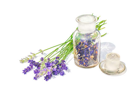 Fresh Lavender and dry lavender in a bottleの写真素材