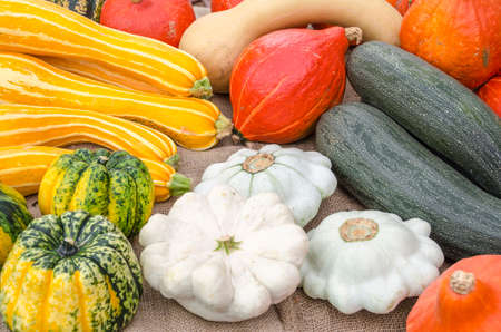 Variety of different kind of harvested pumpkins.の写真素材