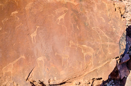 Rock carvings in Twyfelfontein approved as Namibia's first UNESCO World Heritage Site in the Kunene Region of north-western Namibia. The carvings represent animals such as rhinoceroses, ostriches and giraffes as well as african seal.のeditorial素材