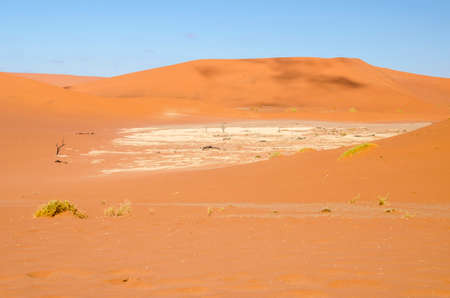 Dunes of Sossusvlei or Deadvlei with a fragment of a clay pan and skeletons of old dead trees in Namib desert, Namibia.の写真素材