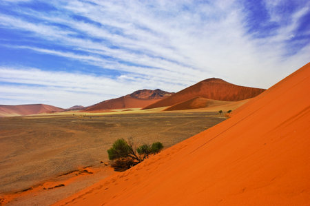 View from the middle of the dune 45, Namib Desert, Namibiaの写真素材