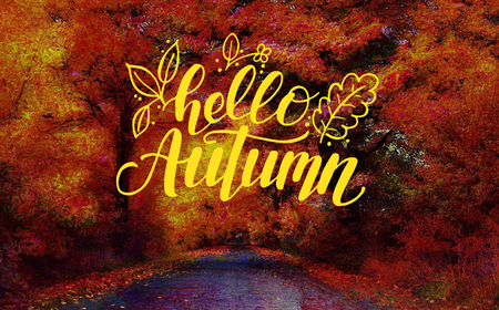 Lettering Hello Autumnの写真素材