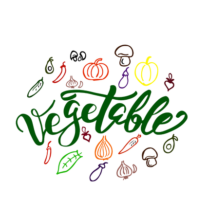 Hand drawn Vegetable with vegatable icon multicolorの写真素材
