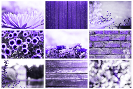 Collage of popular backgrounds / textures - wooden, brick, metal, floral, abstract in a trendy color concept of the year 2018 ultra violet.の写真素材