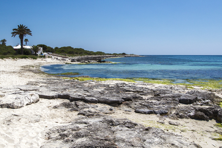 Beautiful beach with white sand, palm trees and granite rocks,  blue Mediterranean Sea, simplyt paradise, Menorca, Spainの写真素材