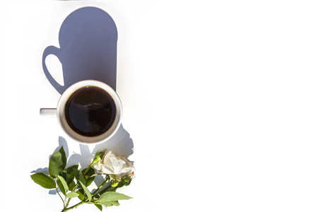 Top view of white cup of hot fresh black coffee, her shadow and flower of light rose on white background. Shows sunlight refracted, game of shadows.の写真素材