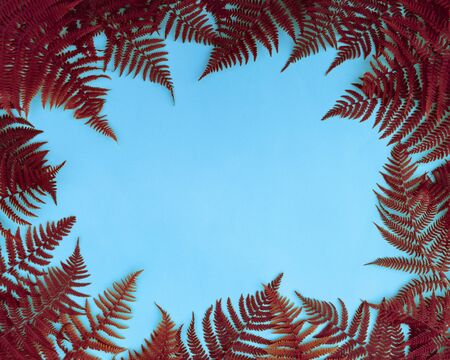 Autumn composition. Frame made of red fern leafs, palm frond on blue background. Abstract tropical...