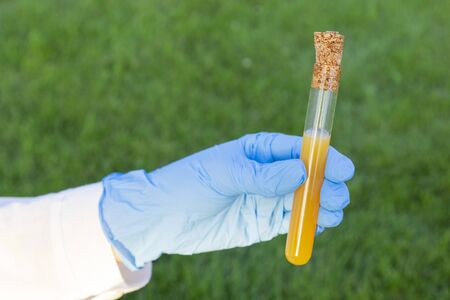 Woman doctor in white coat and blue medical gloves holding glass test tube with yellow chemical on nature backgroundの写真素材