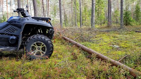 Quad bike in the forest moving through fallen treeの写真素材