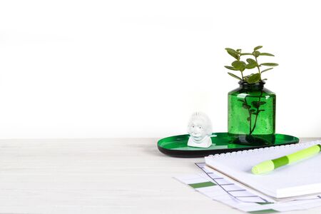 Notebook, pen and plant potted on white wood desk background. Workspace table for beauty blogger's, copy space.の写真素材