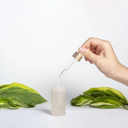 Pipette dropper with drop of natural oil above glass bottle on background of green leaves. Natural organic skin care beauty products.の写真素材