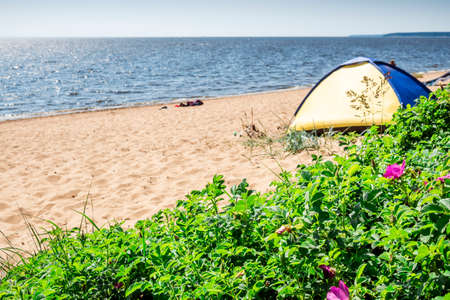 Camping and tent on beach sea under the pine forest on shore of Gulf of Finland, St. Petersburg, Russia. Concept of outdoor activities, healthy lifestyleの写真素材