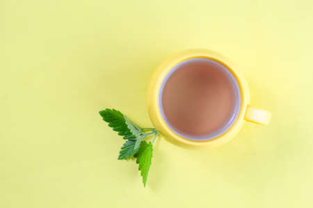 Yellow cup of hot tea with mint on yellow background, top view, flat layの写真素材