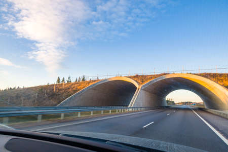 Animal overpass on highways of Finland. Bridge for passage of animals on way . Arch over road.
