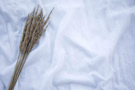 Dry spikelets lie on white cloth. Abstract dry herbs for stylish home decor. Closeup, flat lay, top view, copy space.の写真素材