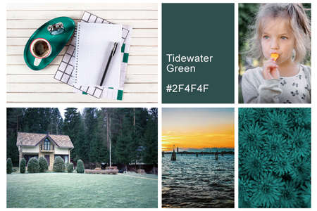 Collage set made of photos toning in Tidewater Green color. Trendy creative design in color of 2021.の写真素材