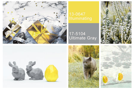 Collage set made of photos toning in Ultimate Gray and Illuminating color. Trendy creative design in color of 2021.の写真素材