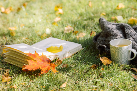 Autumn composition on light nature background. Open book, cup of hot tea and cozy sweater on autumn...