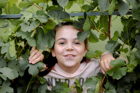 Little girl walks outdoors on sunny summer day. Joyful emotions. Joy of childhood. High quality photoの写真素材