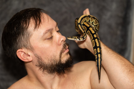 Portrait of caucasian man with Python regius snake on gray background. Selective focus. High quality photoの写真素材
