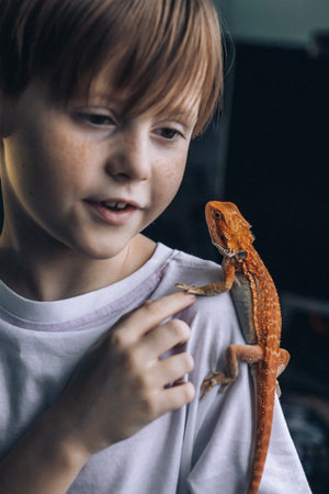Portrait of boy with Red bearded Agama iguana. Little child playing with reptile. selective focus. high quality photoの写真素材