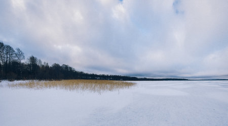 Panorama of beautiful winter landscape. Field of white snow and ice on horizon. Light and airy feel and light color palette. high quality photoの写真素材