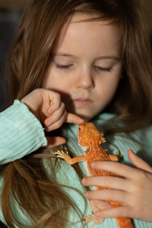 Portrait of pretty girl with Red bearded Agama iguana on gray background. Little child playing with reptile. Selective focus. High quality photoの写真素材